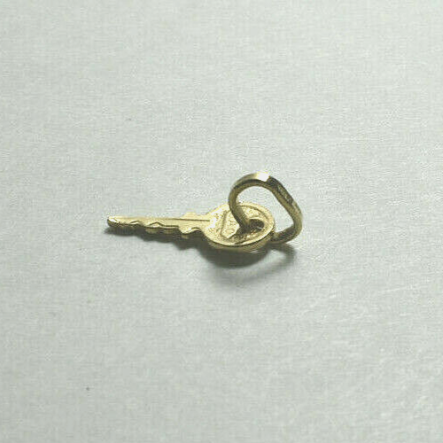 Mini 14K Yellow Gold Key Charm Pendant & Bale 4 Necklace or Bracelet, Unisex
